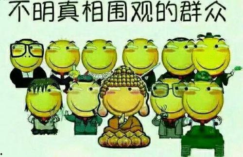 吃瓜群众微笑摸头,揭秘娱乐圈温馨瞬间