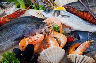 活八瓜鱼吃货,探寻美食世界的奇妙之旅