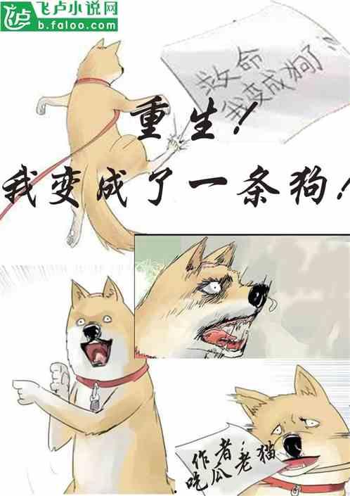 吃瓜小时小说,揭秘娱乐圈背后的秘密与真相